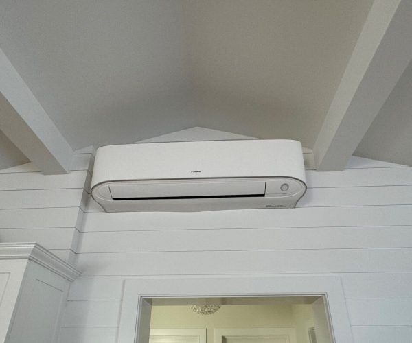 Daikin ductless unit